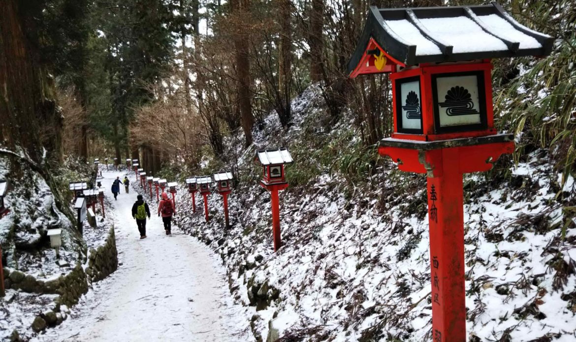 金剛山最特別之處是冬天之時可在這邊欣賞雪景，屬於大阪近郊較少見的景象。