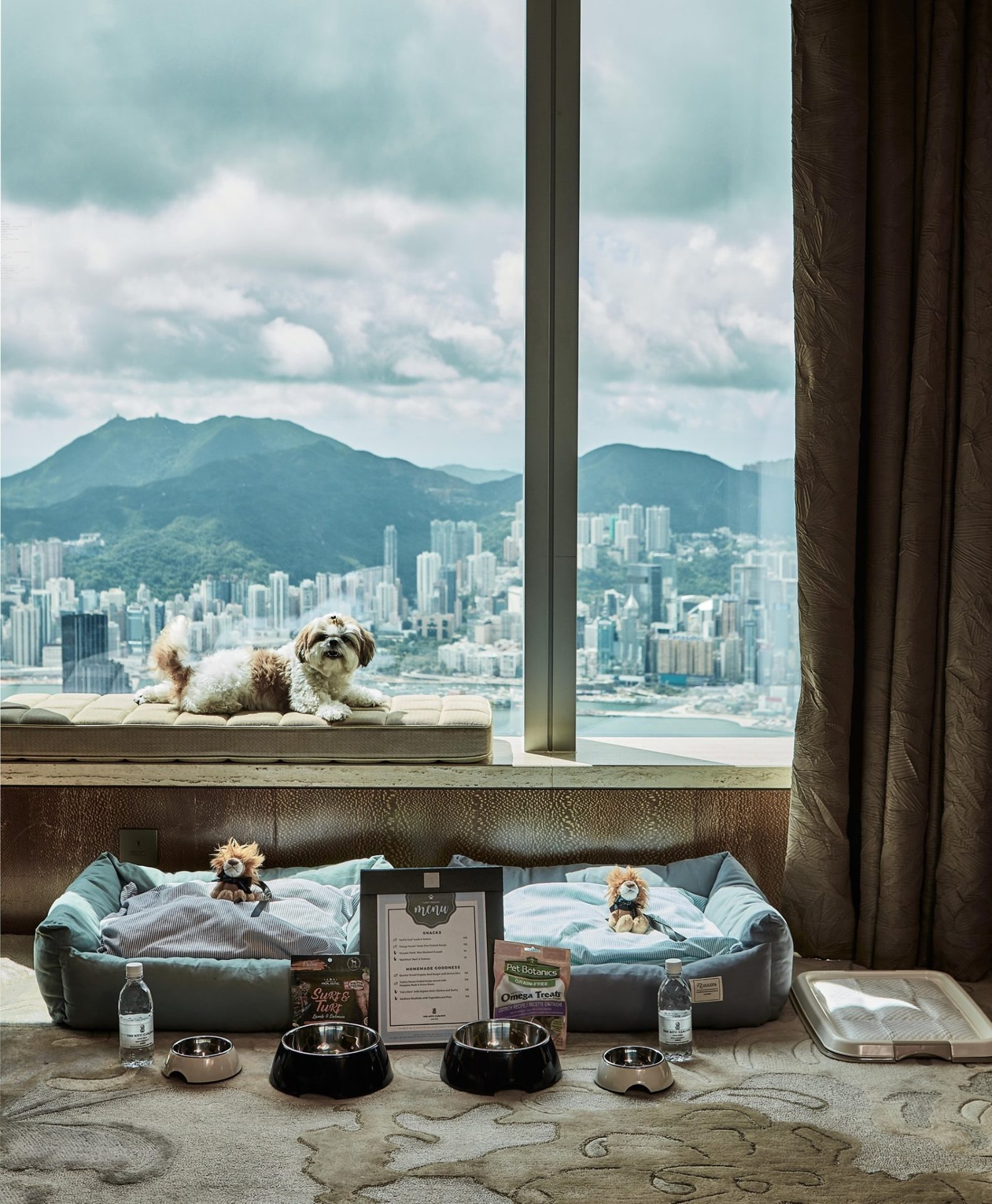 寵物Staycation 寵物酒店 狗酒店 寵物友善酒店香港麗思卡爾頓酒店（The Ritz-Carlton, Hong Kong）首次推出讓寵物Staycation住宿體驗